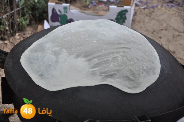 kidrawdaanimals510 (33).JPG